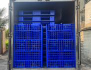 Pallet nhựa xuất khẩu Quận 9