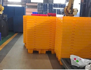Pallet nhựa xuất khẩu Khánh Hòa