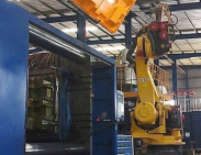 Pallet nhựa chống tràn Quận 1