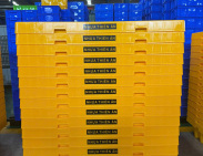 Pallet nhựa vận chuyển toàn quốc