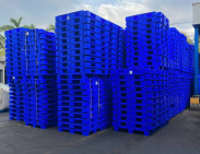 Pallet nhựa xuất khẩu Gia Lai