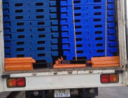 Pallet nhựa khu vực phía nam