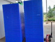 Pallet nhựa xuất khẩu Quận 11