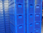 Sóng nhựa hở kcn biên hòa 1