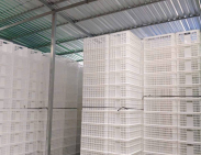 Mua sóng nhựa hở ở đâu tphcm