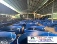 Thùng Nhựa Lớn Bạc Liêu