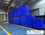 Pallet nhựa xuất khẩu Nam Định