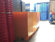 Pallet Nhựa Cũ, Mới Quảng Ngãi