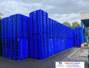Pallet nhựa xuất khẩu Hải Phòng