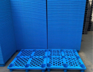 Pallet nhựa xuất khẩu Phú Thọ
