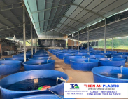 Thùng Nhựa Lớn Hậu Giang
