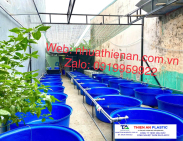 Thùng Nhựa Lớn Thái Bình