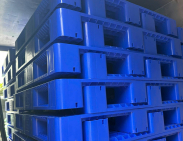 Pallet nhựa xuất khẩu Điện Biên