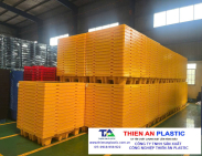 Pallet nhựa chống tràn Quận Tân Bình