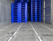 Pallet nhựa xuất khẩu Cà Mau