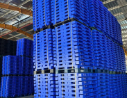 Pallet nhựa xuất khẩu Long An
