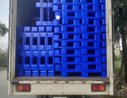 Pallet nhựa xuất khẩu Quận Tân Phú