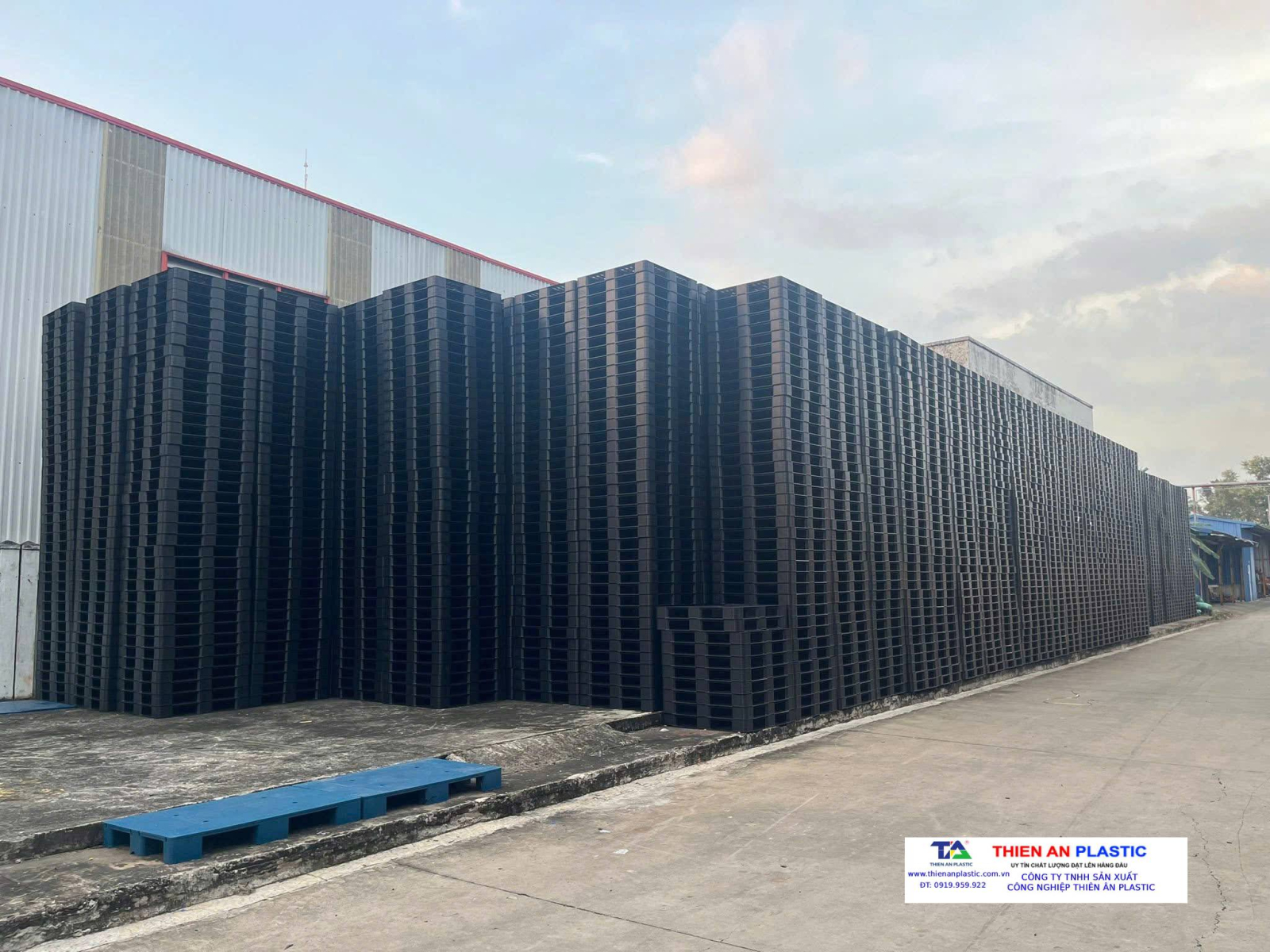 Pallet nhựa xuất khẩu Quận 8