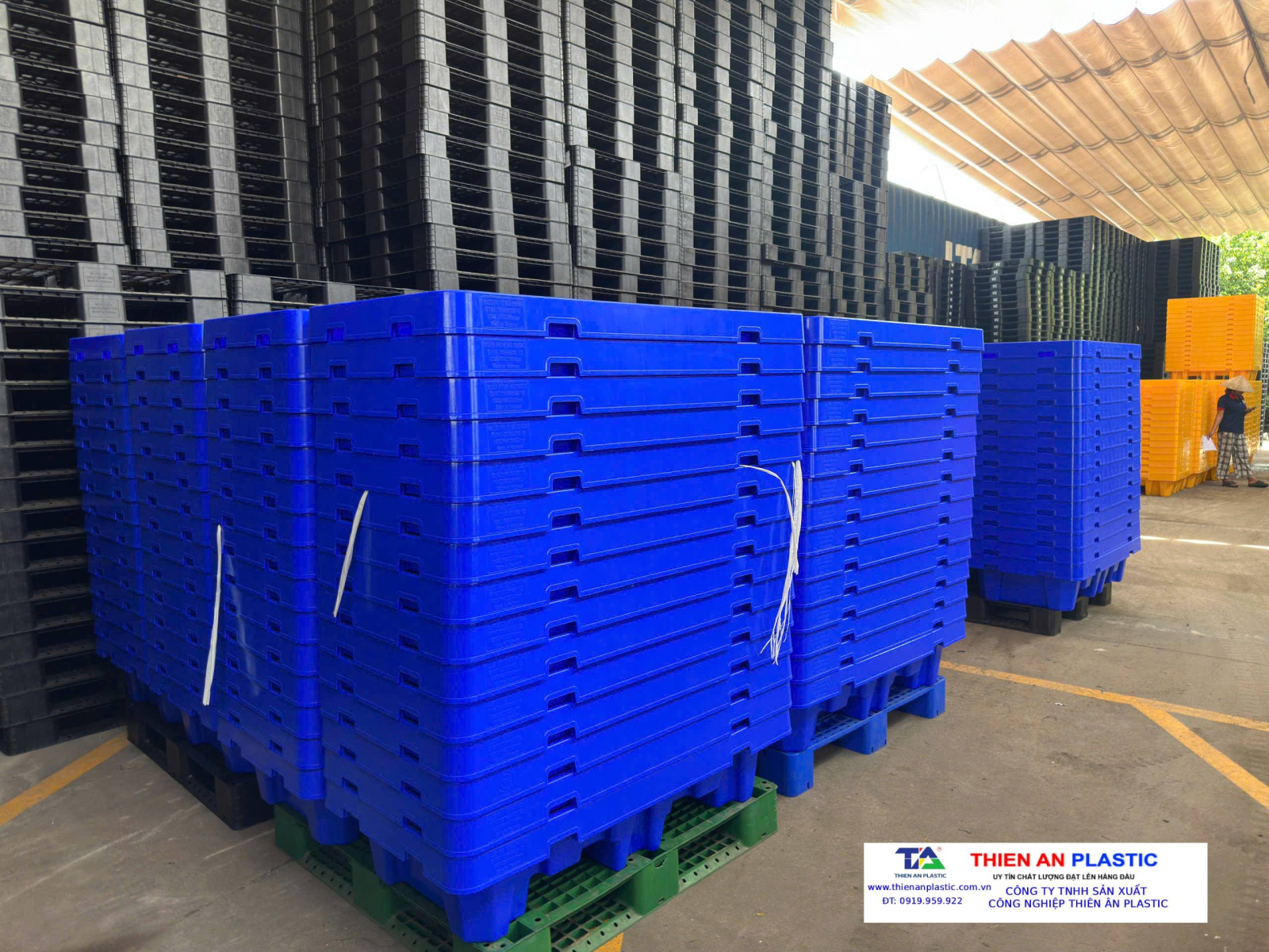 Pallet nhựa chống tràn Cần Thơ