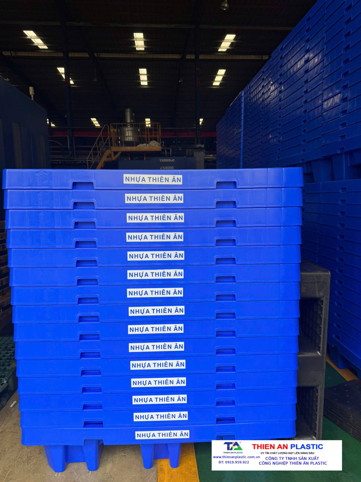 Giá pallet nhựa mới 100%