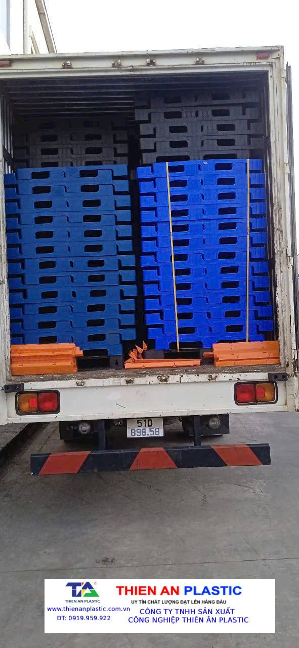 Pallet nhựa xuất khẩu Tiền Giang