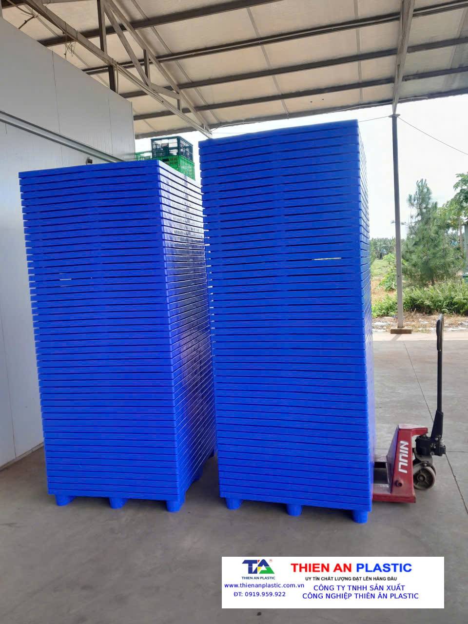 Pallet nhựa xuất khẩu Quận 11