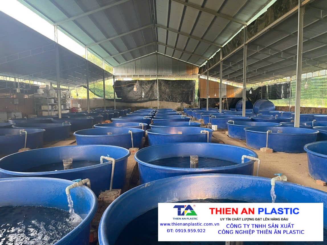 Thùng Nhựa Lớn Bạc Liêu