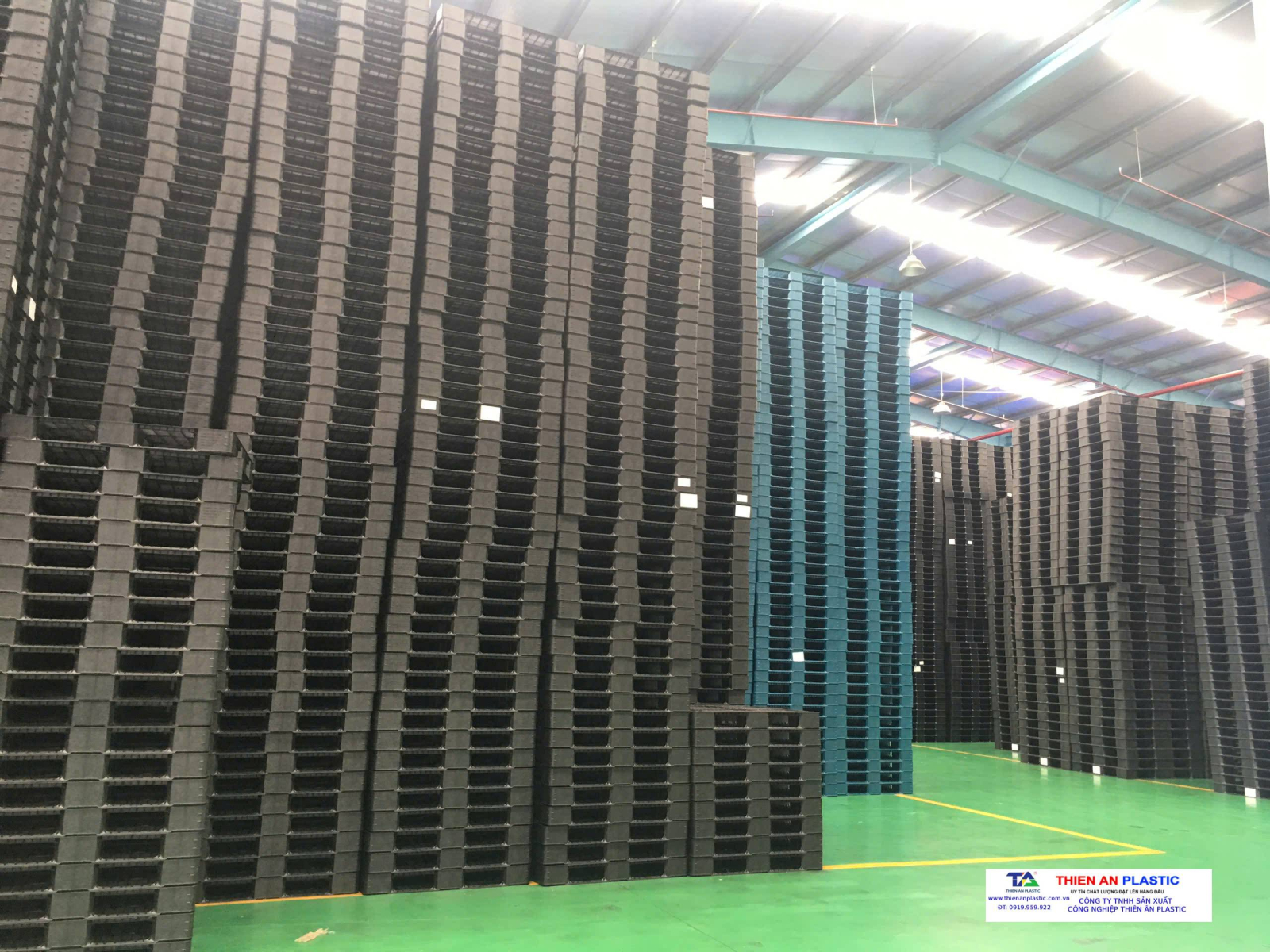 Pallet nhựa xuất khẩu huyện Cần Giờ