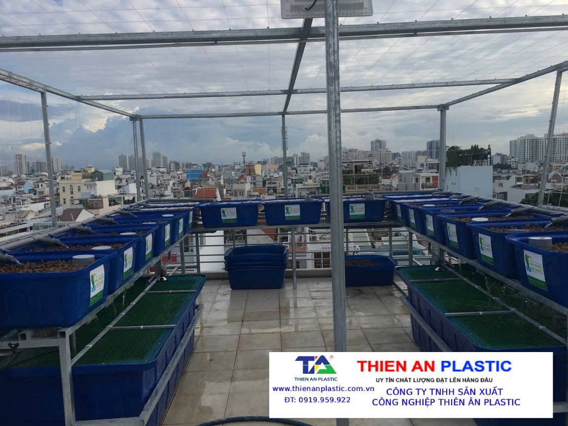 Tư vấn chọn thùng nhựa công nghiệp