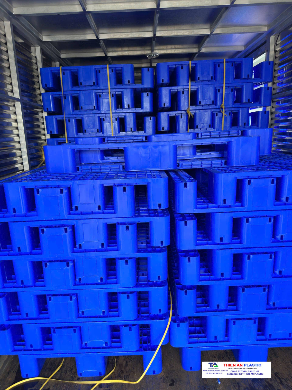 Pallet nhựa xuất khẩu Bình Thuận