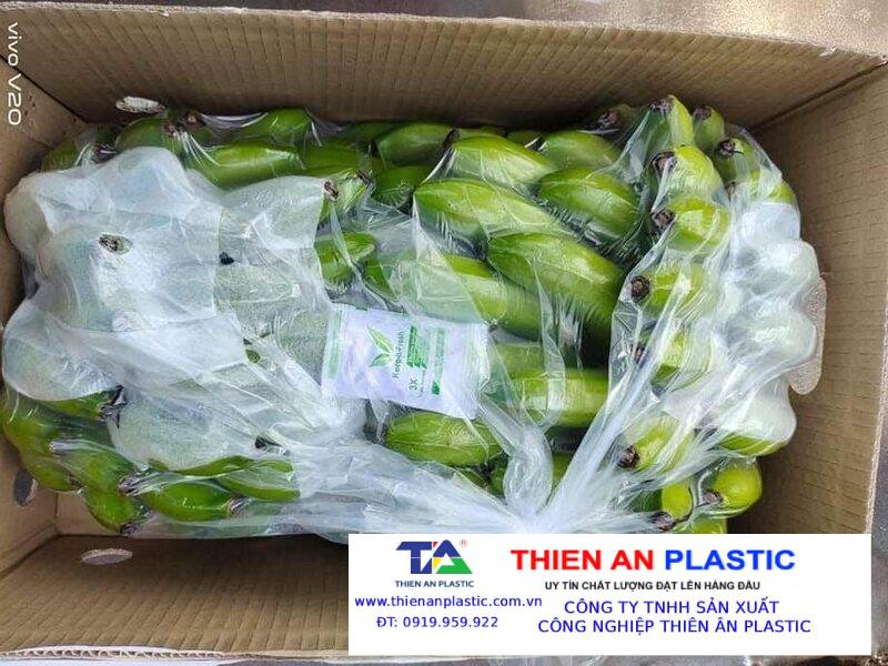 Giải pháp đóng gói nông sản xuất khẩu