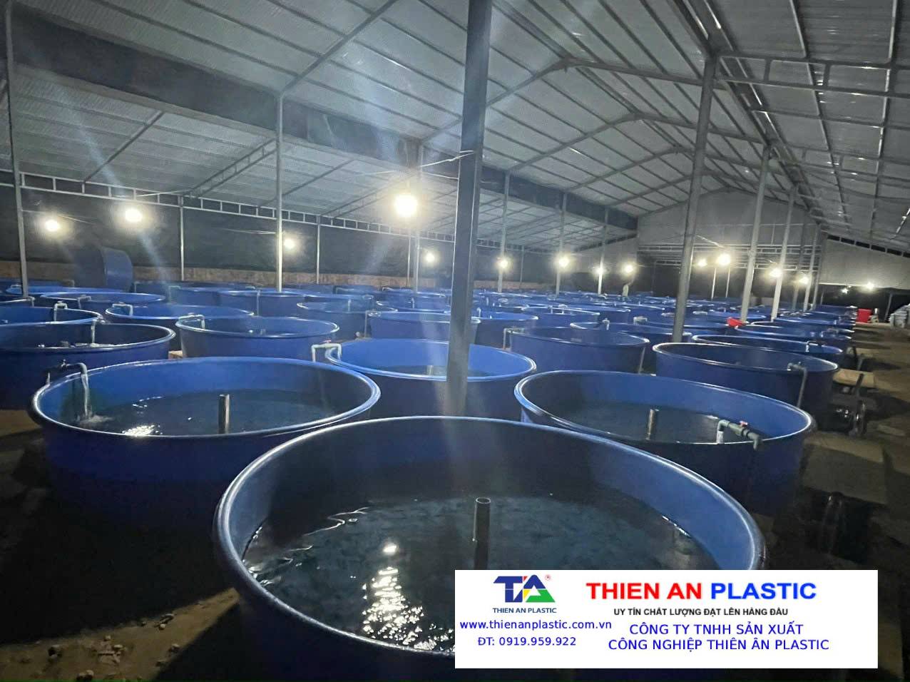 Thùng Nhựa Lớn Ninh Thuận