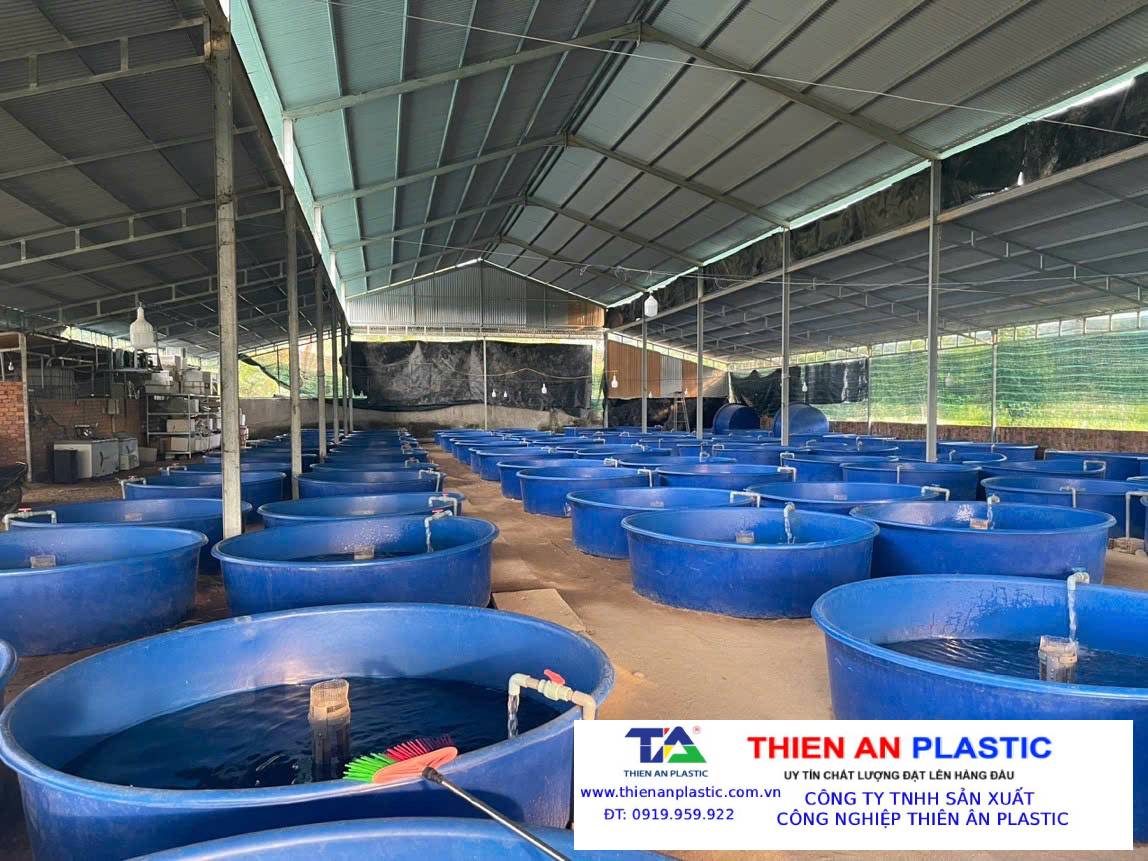Thùng Nhựa Lớn Hậu Giang