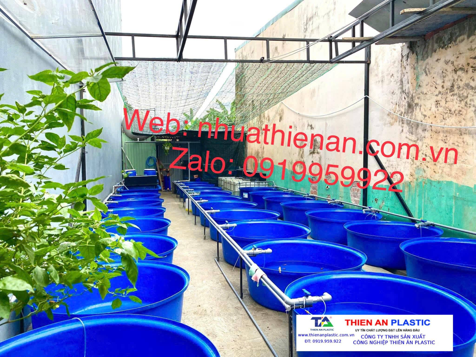 Thùng Nhựa Lớn Hải Phòng