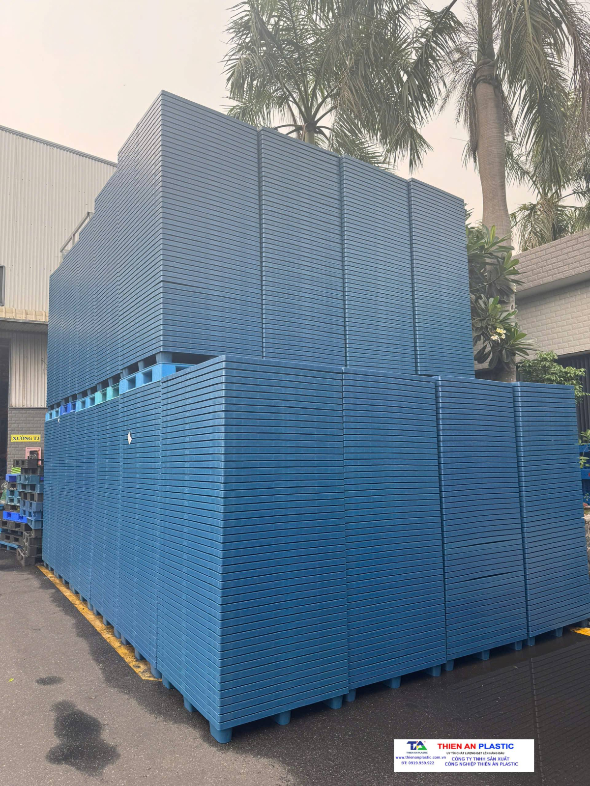 Pallet nhựa xuất khẩu Hà Nội