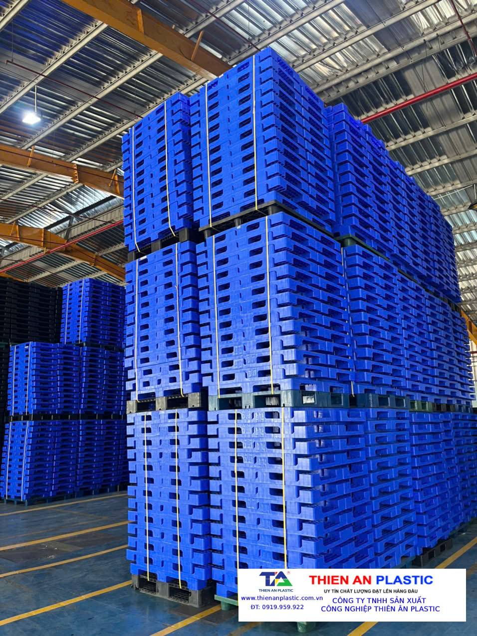 Pallet nhựa xuất khẩu Long An