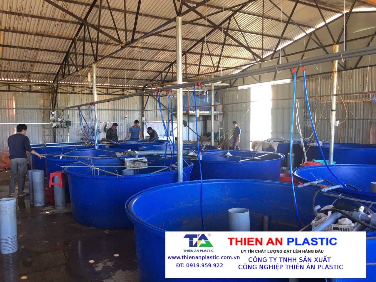 Thùng Nhựa Lớn Tiền Giang